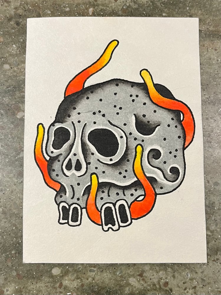 Image of Skull study 11