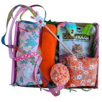 🐾 🌼Spring Meadow Cat Treat Box🌼🐾