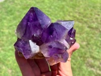 Image 8 of Amethyst Points Cluster |Congo #2910