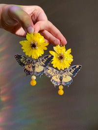 Image 1 of 🌼🦋Daisy Buckeye Butterflies🦋🌼