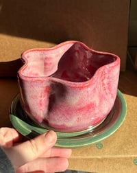 Image 1 of Flower Pot + Drip Tray Set (Pre-Orders)