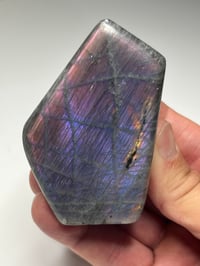 Image 12 of Purple Labradorite Freeform | Madagascar #3029