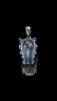 Image 3 of “NATIVE KILLER” in .925 silver