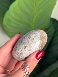 Image 6 of MEXICAN LACE AGATE SHIVA C