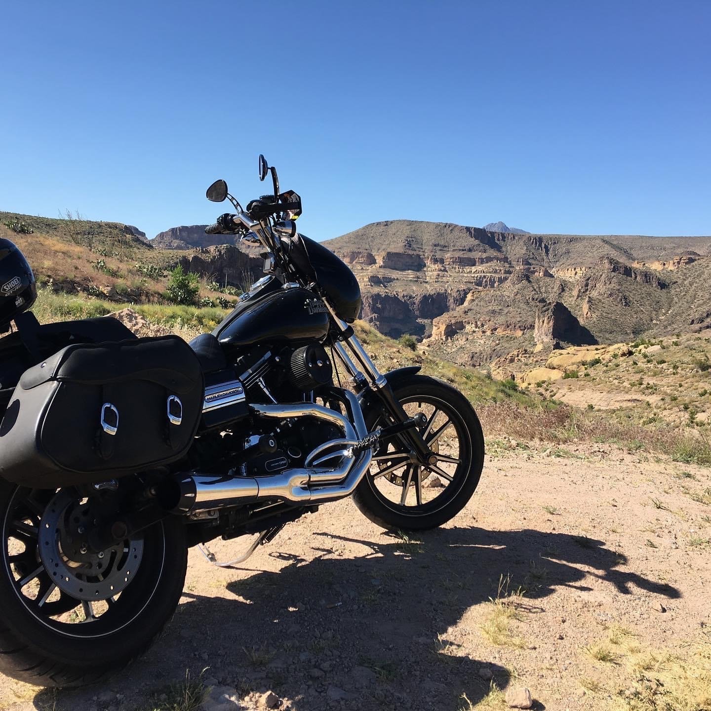 Big bear librarian choppers road glide