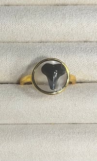 Image 1 of Shark Tooth Ring SR100