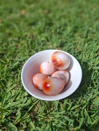 Image 2 of Carnelian Egg Carvings