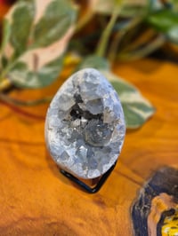 Image 2 of Celestite Egg