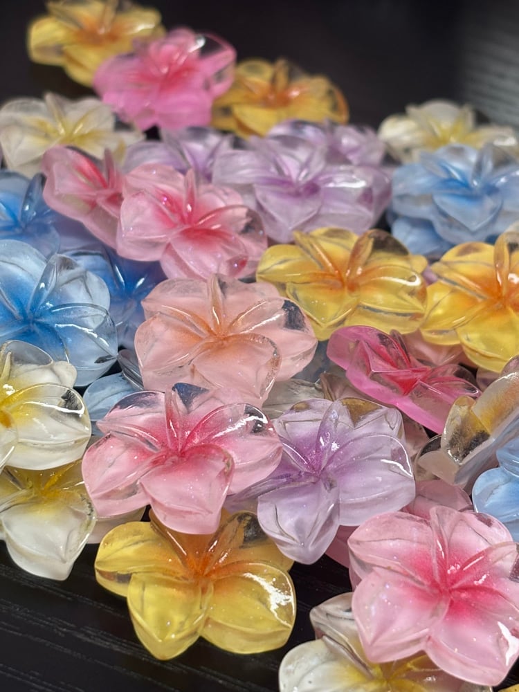 Image of Hawaiian flower mix