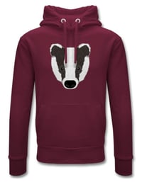 Image 5 of Badgers