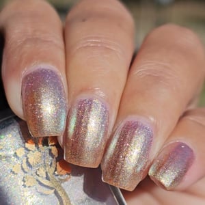 Image of Moonbeam Ice Cream