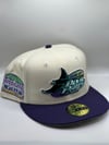 Tampa Bay Rays Hat Club “White Dome” 7 5/8