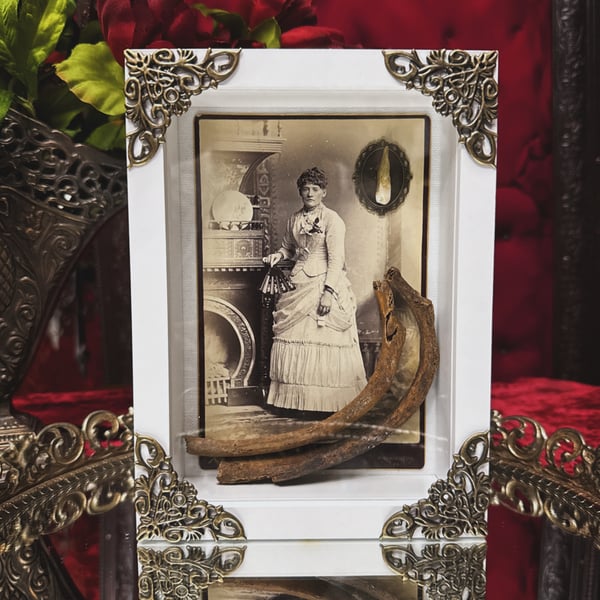 Image of Victorian Lady w/ Human Tooth & Human Ribs