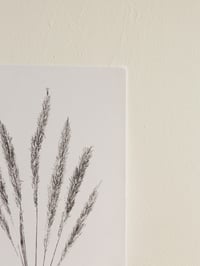 Image 2 of Marram Grass - A4 - Original Botanical Monoprint 