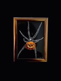 Pumpkin Spider 1