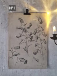 Image 2 of Les grands dessins (2 dispos)