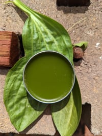 Image 2 of Healing Salve - 1oz