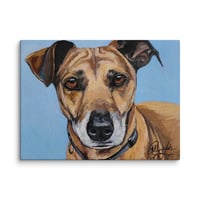 Image 1 of Blue Sky Terrier