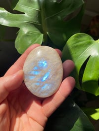 Image 1 of Moonstone Palm Crystal (2)