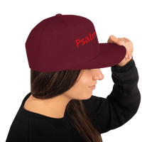 Image 24 of Snapback Hat