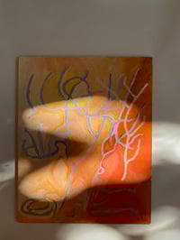 Image 4 of tree symbols 