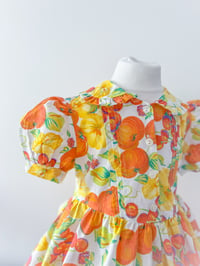 Image 2 of Fruit Salad Fancy - 3 years 
