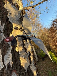 Image 4 of XL Night Dragon Wall Flyer Sculpture (wings out) - GLOW EDITION 