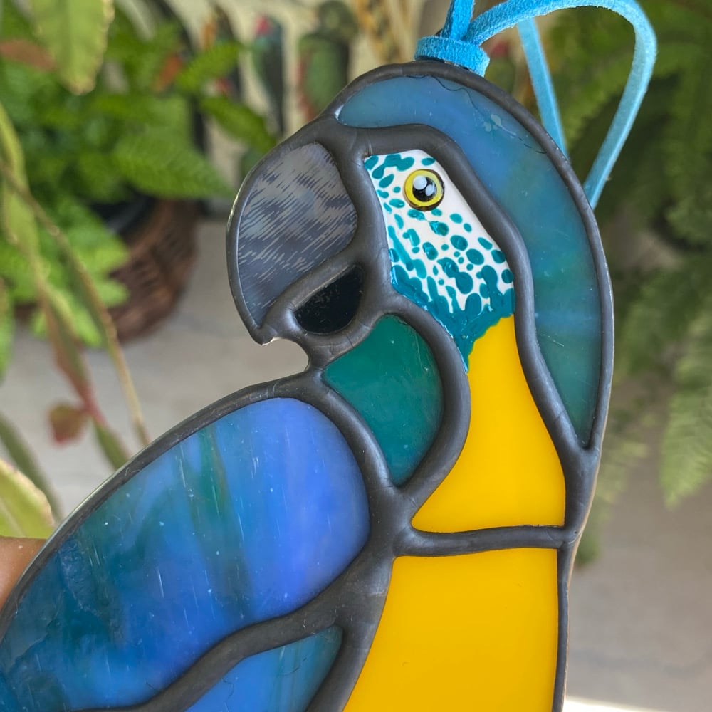 Image of Blue Throated Macaw