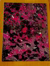 Image 4 of Midnight in the Garden