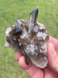 Image 1 of Smoky Quartz Crystal Points Cluster #1628
