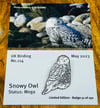 Snowy Owl - No.114 - UK Birding Pins - Enamel Pin Badge