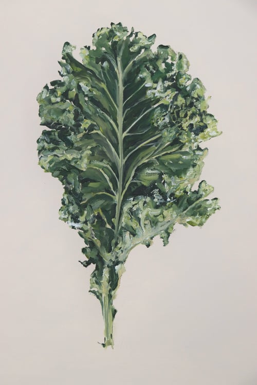 Image of Nourish by Monique Correy