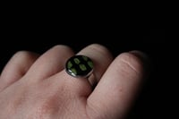 Image 5 of Dead good maidenhair spleenwort ring