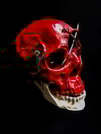 Image 2 of ☩ 𝕽𝖚𝖇𝖗𝖚𝖒 𝕮𝖑𝖆𝖛𝖆𝖙𝖚𝖘 ☩