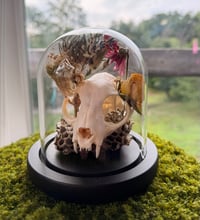 Image 1 of Honeycomb Kitty Cloche