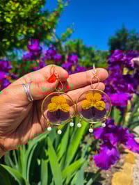 Pansies with pearls