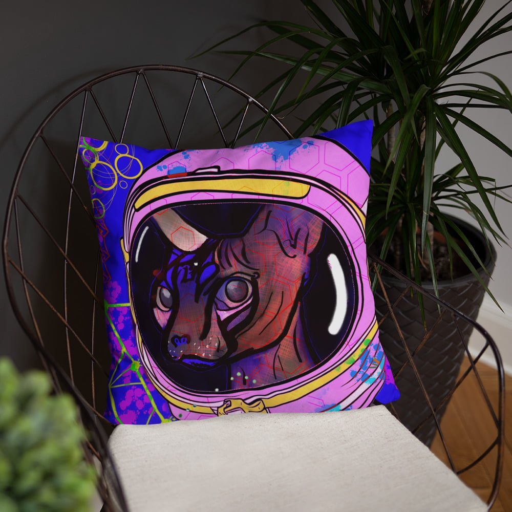 Space Cat/Race Cat Pillow