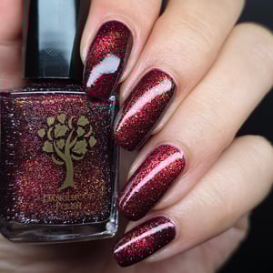 Image of Little box of Horrors