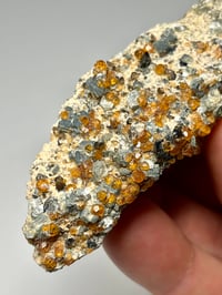 Image 2 of Hessonite Garnets On Matrix Specimen #2450