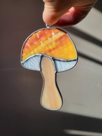 Image of Mushroom