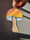 Image of Mushroom