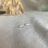 Petites Puces 