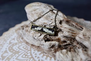 Image of ‘Alpine’ Collection - Burmese Python