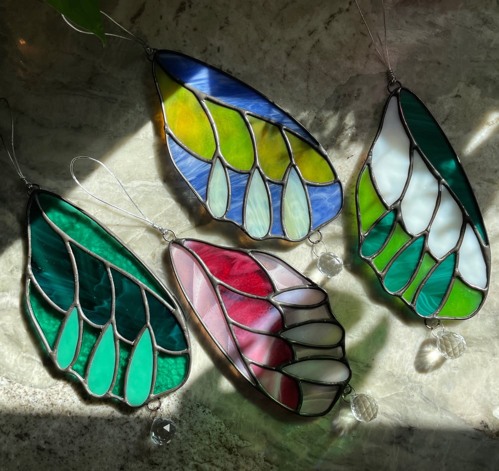 Image of Butterfly wings