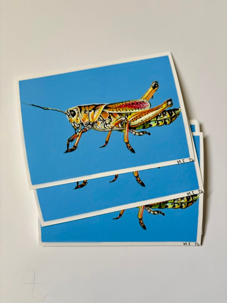Image of Eastern Lubber Grasshopper Print