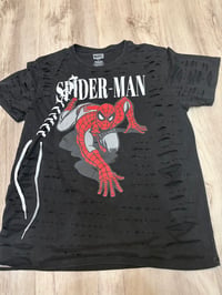Large spiderm lace destroyed 