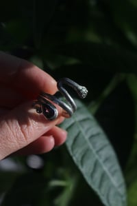 Image 4 of Snakey Vibes 