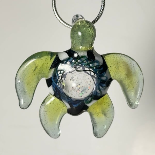 Image of Algae Turtle Hatchling