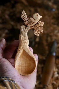 Image 1 of The Wren in The Oak Coffee Scoop