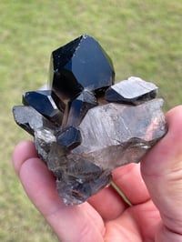 Image 14 of Smoky Quartz Points Cluster #2000